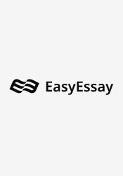essay writers service